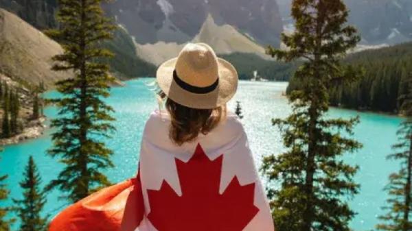 Best Immigration Consultants In Canada