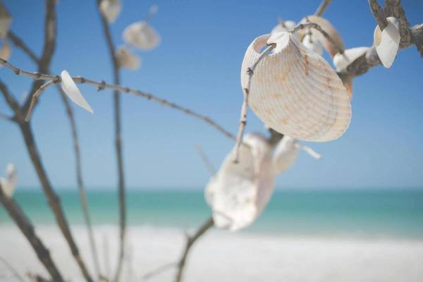 boat tours anna maria island