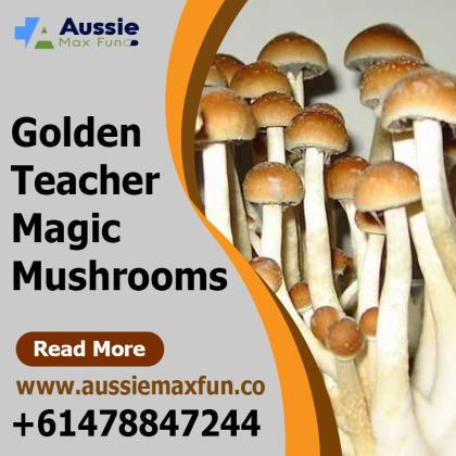Buy Psilocybecubensis in Australia