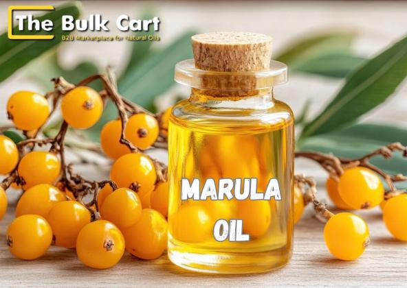 Buy Wholesale Marula Oil – The Bulk Cart Premium Supply