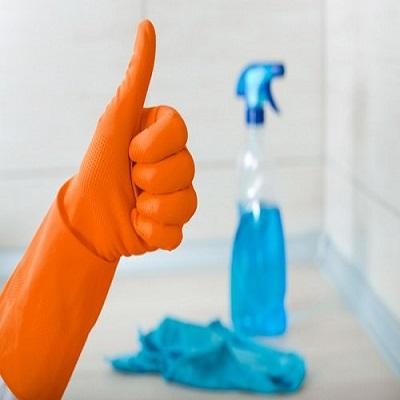 Carpet Cleaner Rental