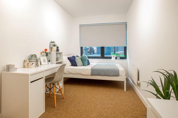 Discover Affordable Student Housing on Trippet Lane, Sheffield