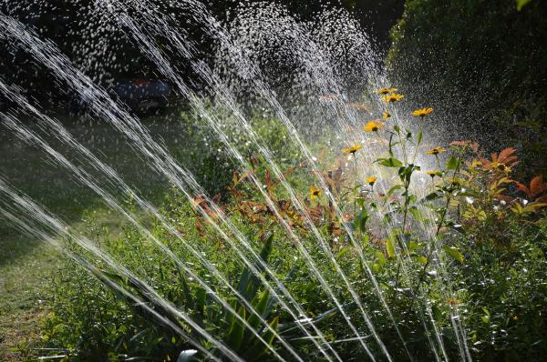 Expert Irrigation Water Management for Sustainable Resource Optimization