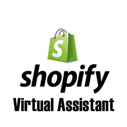 Expert Virtual Assistant for Shopify | OnestopDA