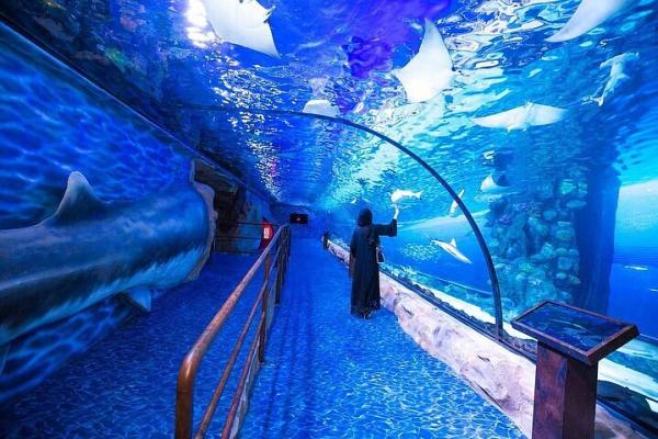Explore Dubai Aquarium & Underwater Zoo – A World Beneath the Waves!