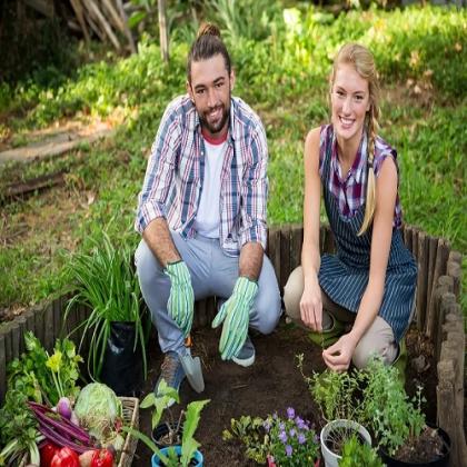 Garden Maintenance