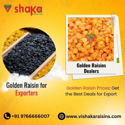 Golden Raisins Dealers | Best Golden Raisins Prices for Export