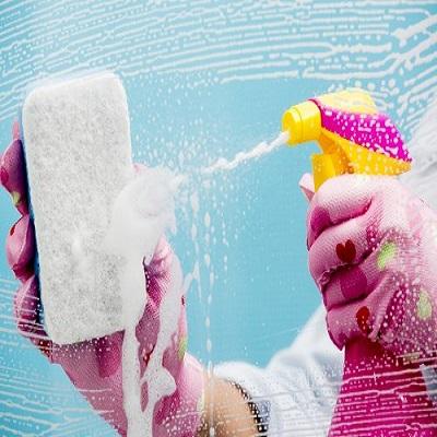 Hire Carpet Cleaner