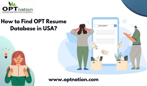 How to Find OPT Resume Database in USA?