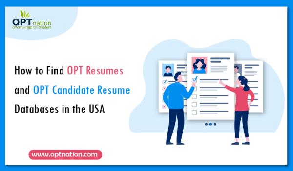 How to Find OPT Resumes and OPT Candidate Resume Databases in the USA
