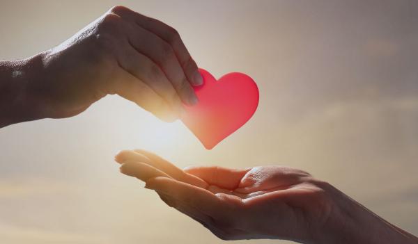 How to Set Up a Charity: Simple Steps for Starting One
