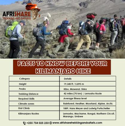 Kilimanjaro Trekking Tours: Explore the Wonders of Africa’s Tallest Peak