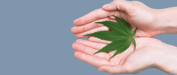 Medical Marijuana Dispensaries in Virginia