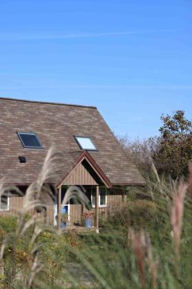 Metal roofing installers taylor