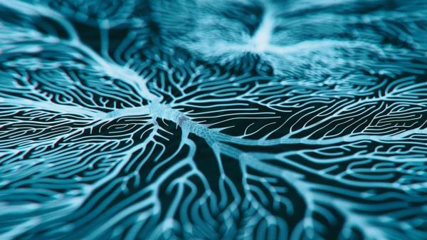 Microcurrent Neurofeedback in Orange County