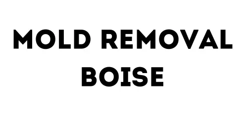 Mold Removal Boise