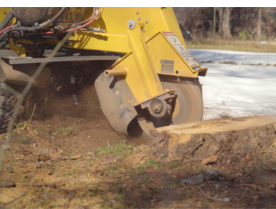 Palmetto Land Services