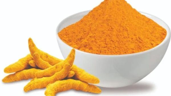 Pancham Haldi Price