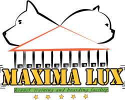 Pansion za pse MAXIMA LUX Beograd