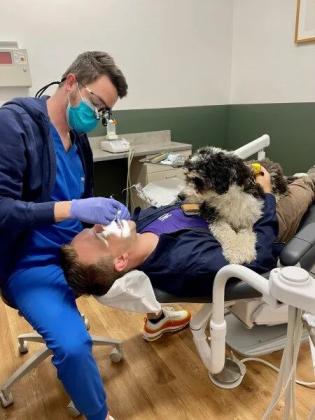 Portland Leading Complete Dental Care – Healthy Smiles Start Here