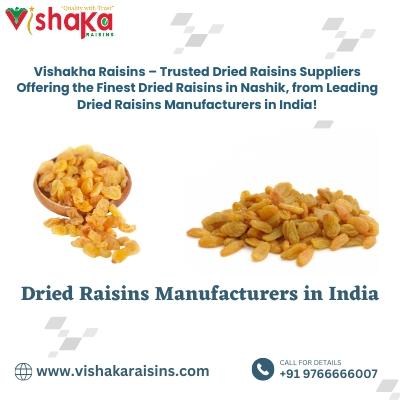 Premium Quality Dried Raisins Suppliers in Nashik, India