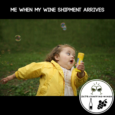 Premium Wine Experience