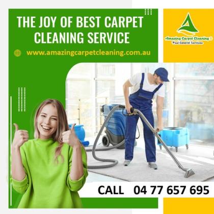 Professional Local Carpet Cleaning Services in Pimpama