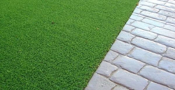 Rooftop Garden Ltd