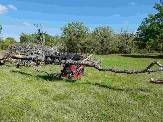 Shrub maintenance in college station