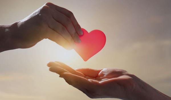 Step-by-Step Guide for How to Set Up a Charity Successfully