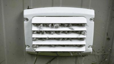 Top-Rated Dryer Vent Cleaning Professionals in Ann Arbor