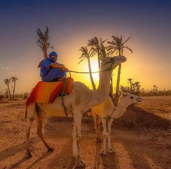 Travel to Morocco from USA