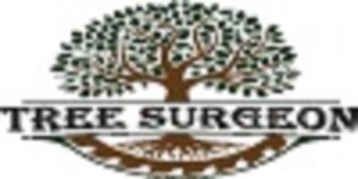Tree Surgeon