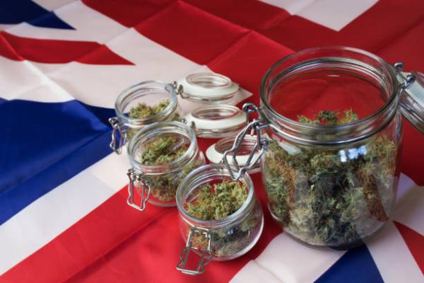 Trusted Source for Premium Cannabis Products in Scotland,