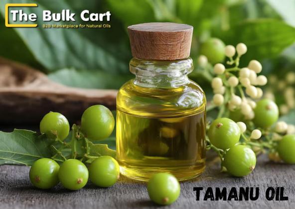 Wholesale Tamanu Oil Supplier – Order in Bulk from The Bulk Cart