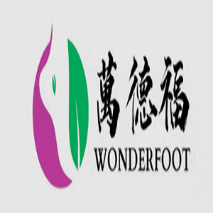 WONDERFOOT TCM MASSAGE - KATONG 萬德福中医按摩保健中心 - 加东