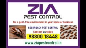 Cockroach Treatment | Schools Appartments Flats and  House | 5051
