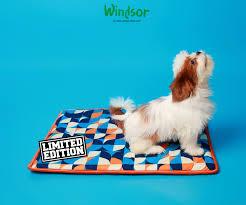 Windsor Pet Food & Accessories