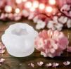 Aaiplannet: Premium Fragrance Oils & Silicone Candle Moulds for Perfect Creations