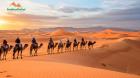 Best Arabian Desert Safari in Dubai