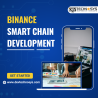 Binance Smart Chain Development Services