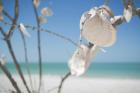 boat tours anna maria island
