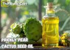 Bulk Prickly Pear Cactus Seed Oil – Order Wholesale Today