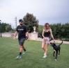 Dog Trainer Charlotte NC