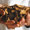 Dry Chicory (Hand diced)