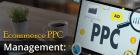 Ecommerce PPC Management Services