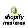 Expert Virtual Assistant for Shopify | OnestopDA