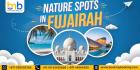 Explore Nature Spots in Fujairah With BookMyBooking