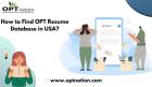 How to Find OPT Resume Database in USA?