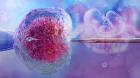 IVF Hospital in Madurai